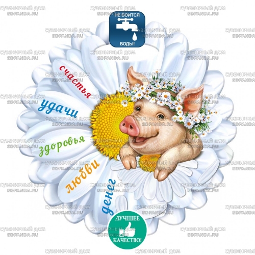 ���� �� 27.11. ��������� ���� ����� ��. �������� �� ������ � ���������� ������ ����. �������-�������, �������, ���������, ��������� �����, ���������� ���������, ��������, �������� ������, ������ ������. ���� �� 25 ���. �������� �����.