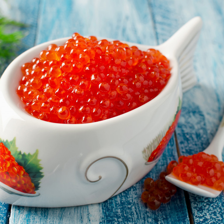 ���� �������. ���� � ��������. ��������� ���� �����.�����-1.