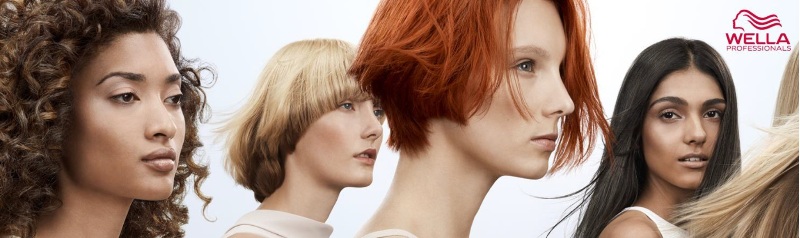 ����� ������ ����. Wella  Koleston Perfect Me+ . �������!