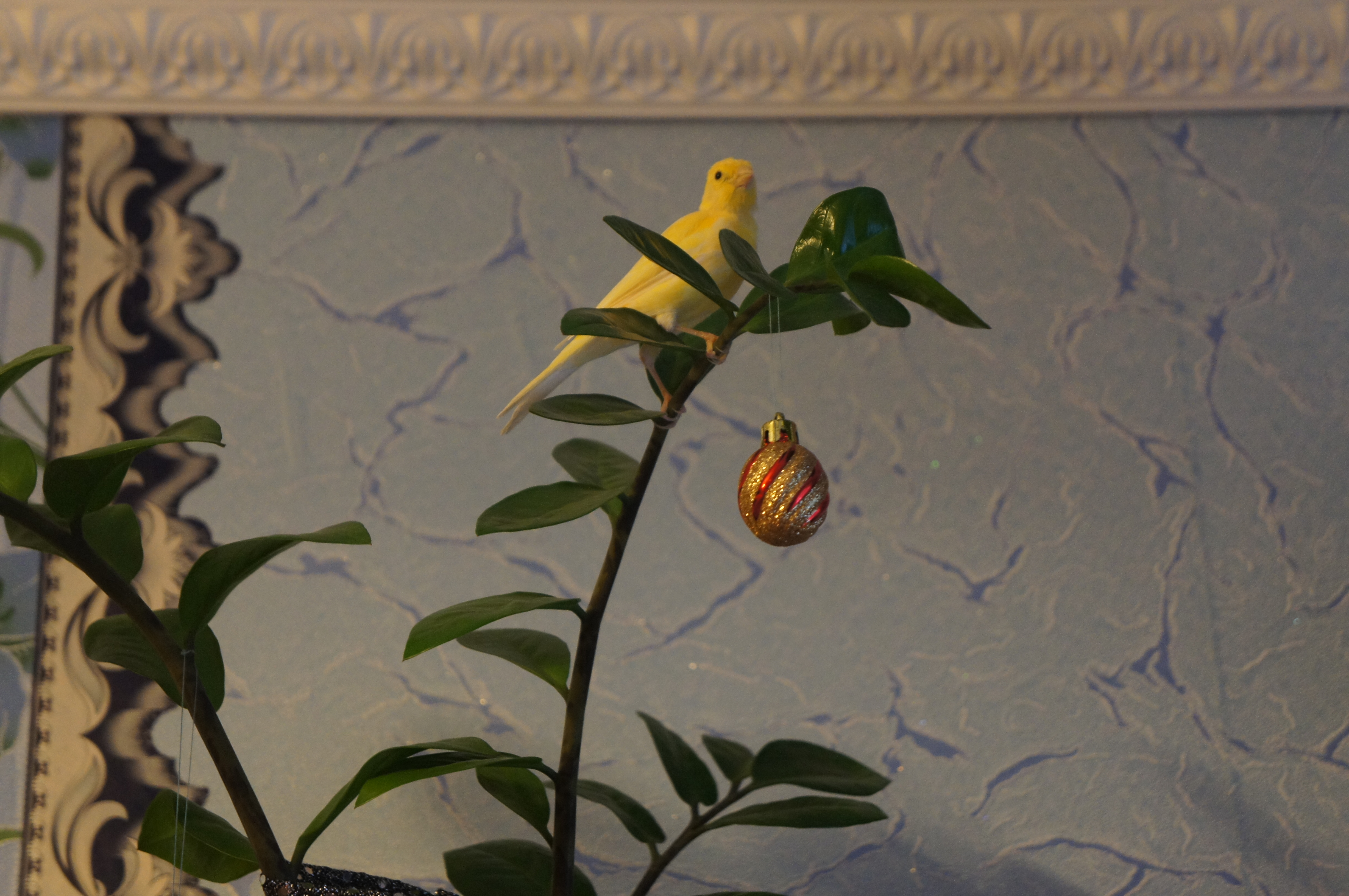 ������. �����. ����������� �������.