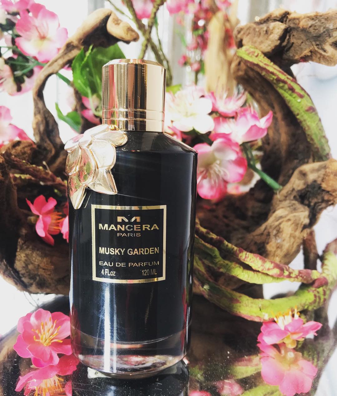 ���� ������ ! ������ ��������-���� ����������� � �������� ���������� 21/18