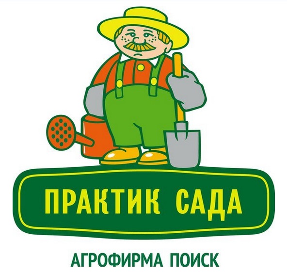 �������� �������� � ������������ �������� � ��������� �������� �� ��*����, ����������� - �������������� ���� 2019