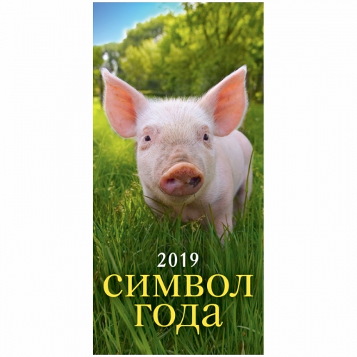 ���� �������. ��������� �� 2019 ���. ����������� ������������ � ���, ����������� �������, �������, ������� ��� ����������, ���������, ����������, ��������. 3/18