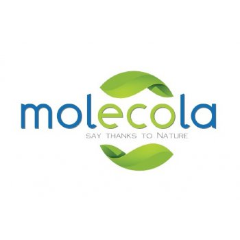 ���� �� 3/12. Molecola - ����������� �������� ������ ��������� ��� ���� �� ������ ������������ �����������.