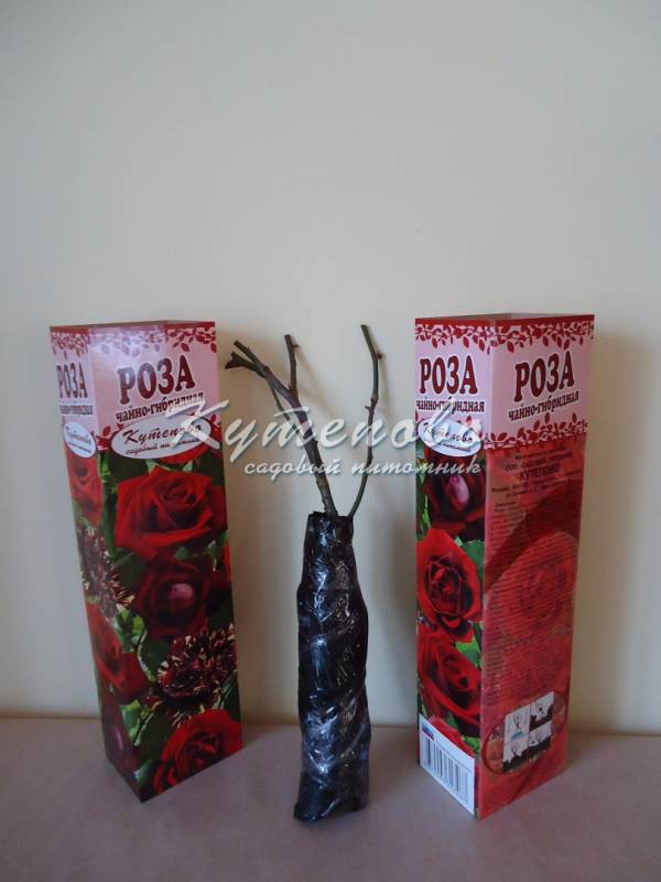 ���� ������� �� 12.12. ��������� �� ����� 2019. ������� �������� ��**��**��**��. �������� ��������. ������������ � ������� ��������. ������� ��� � ������� �������� 7