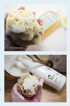 ���� �������. ����������� ������� ����� ��� ���� � ���� �� ������.