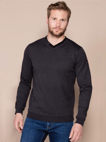 �������� ��������� ������� ����. V-�������� ������� ���������. REGULAR