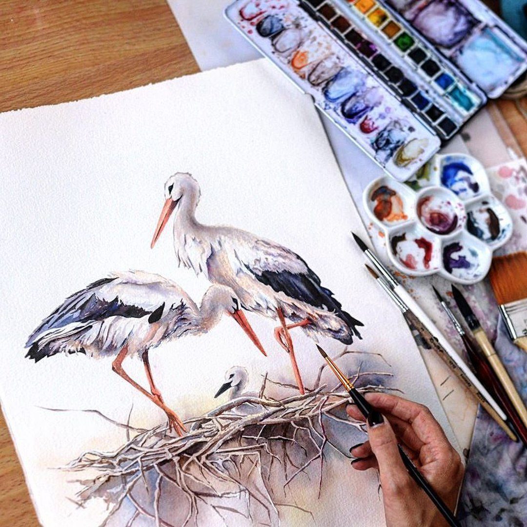 ��� ��� ����������. ������-����� - 74