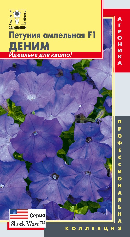 ���� �� 09.12. ���������� ������. ������ � ������ � ����� �������!-24. ������, �����, ���������, ������� � ����� ���� �����������! �������� ���������� � ������ ������! ��� � �������!