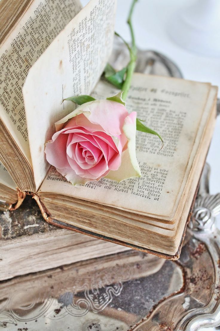 ��������� �� �������� ����� � ����������, ��� ���� �����������, ��������, �������. ������� ������ ����� ��� ���������! ������� ������� � ������������� ������!) 