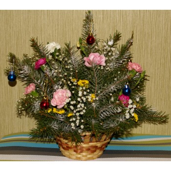  ���� �� 24/12. ���������� ���������� �� ������� � ������� ���! � ������ ���� ����� ����! ������� 29-30 ������� + ������!  