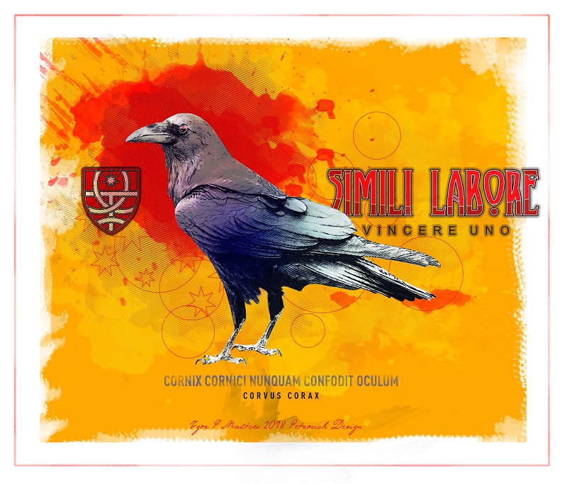 ������� ��������� ����������� �� ���� "����� ������"