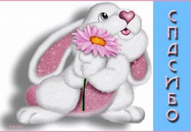 ������, � ���� ����� 5 ���� �������� � ����������. ������ ��� ����� ������. ���������� ����������, ������, ������� �� �������. �� �������� ��� ��������. ������� ���� �� �������� � ���������!