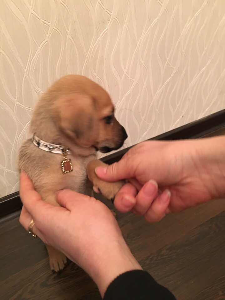 ������ ����� ������ � ������ ������� ��������� ��� �����!