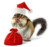 ���� �� 22.12. �����, ����������, ������� - ��������� �������� ������ �� ������!-41. �������� ���� 5 ����! ������� ����� �� ������� ���������.