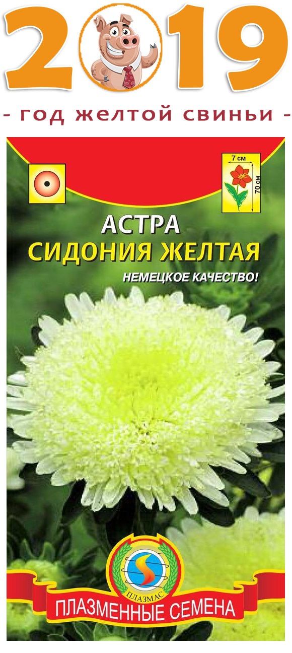 ���� �� 23.12. ���������� ������. ������ � ������ � ����� �������!-26. ������, �����, ���������, ������� � ����� ���� �����������! �������� ���������� � ������ ������! ��� � �������! ���� ��� ��� �������