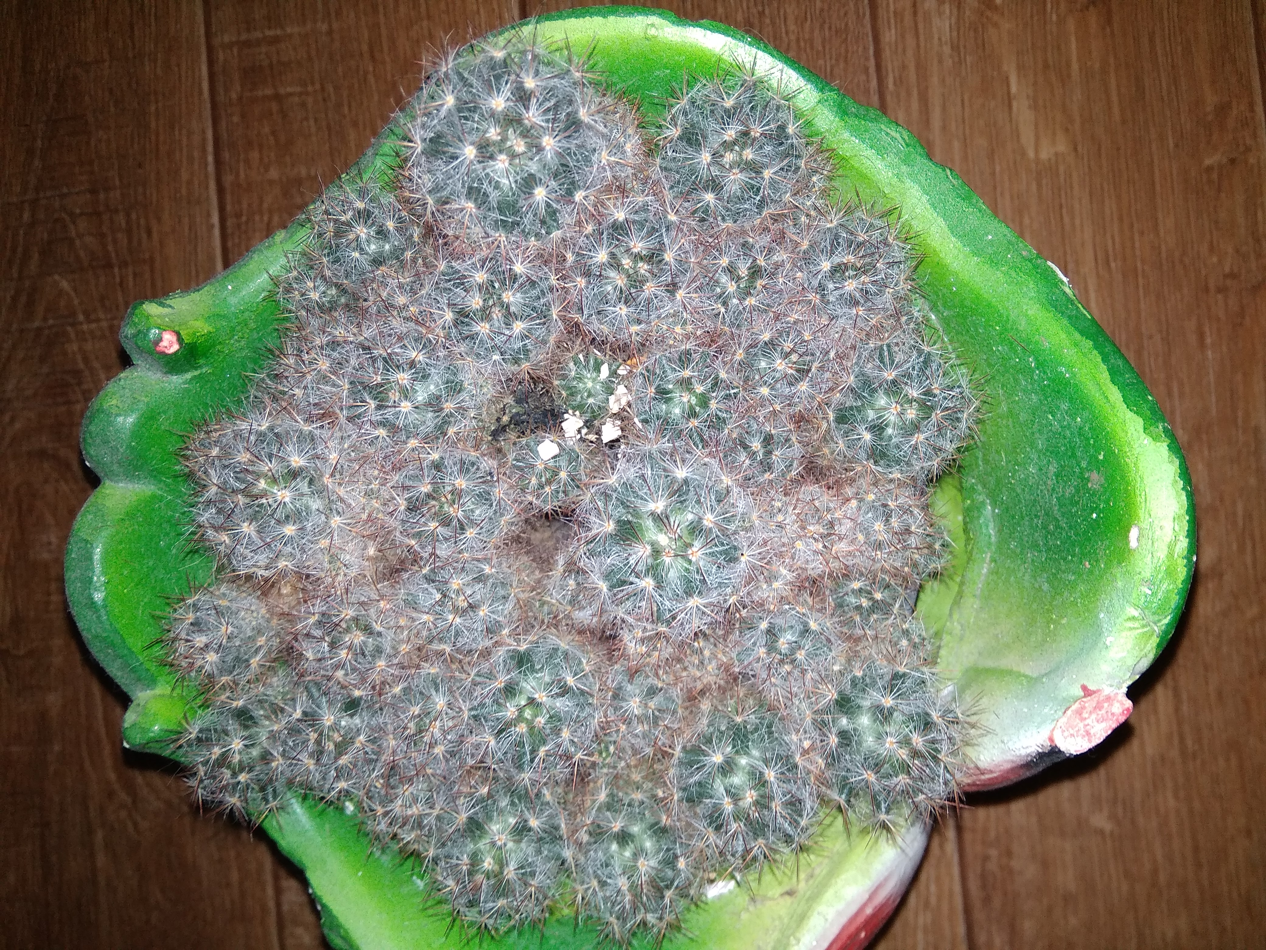 ����������