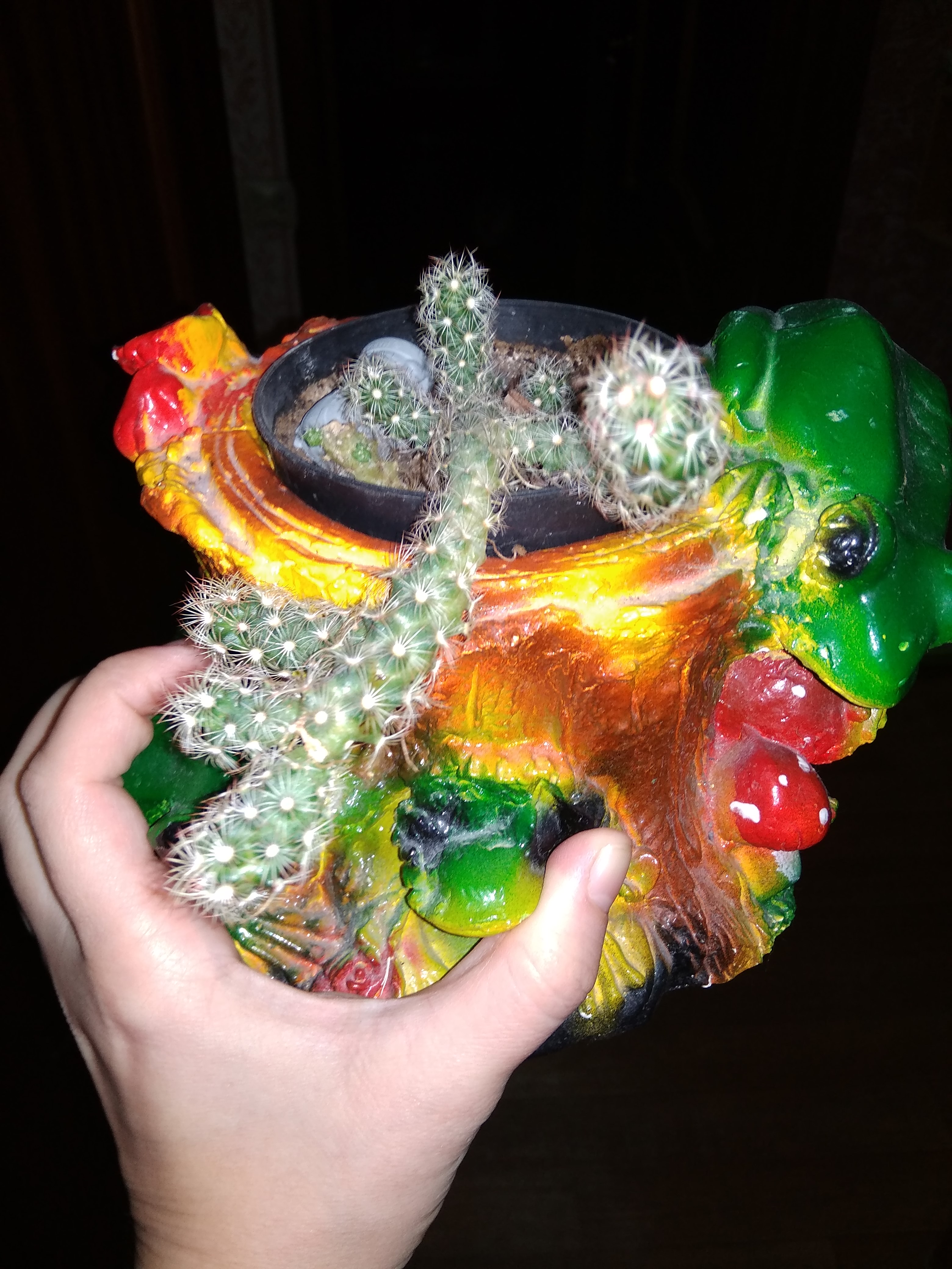 ����������