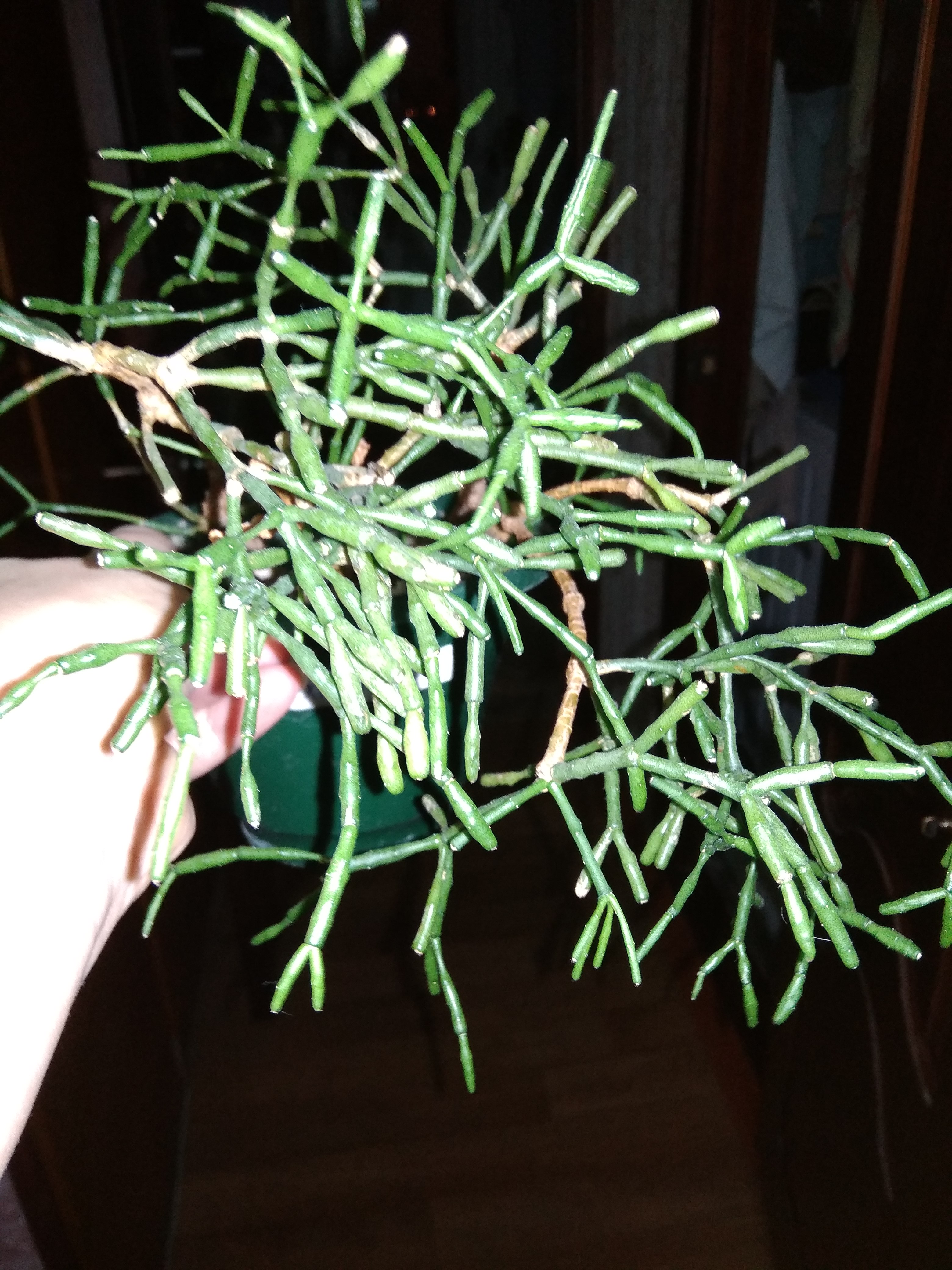 ����������