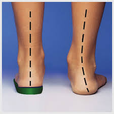 ���� �������.�������������� ������ ��� ����� � �������� : �������,�������,�������,���������,���������� ������, ����� � ��. �������!�����27