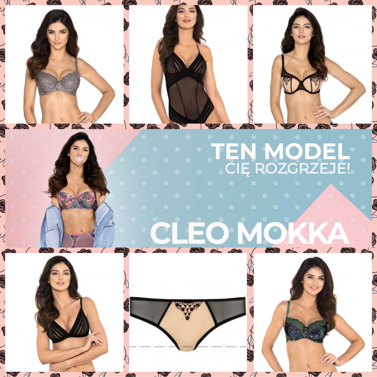 ���������������� �������� ������ �����