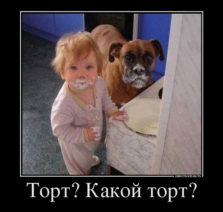 ������ ���� ������� �� ������� �������� � ��������� �������. ��������� ����, �������� �������� ����� ������� � �������. 