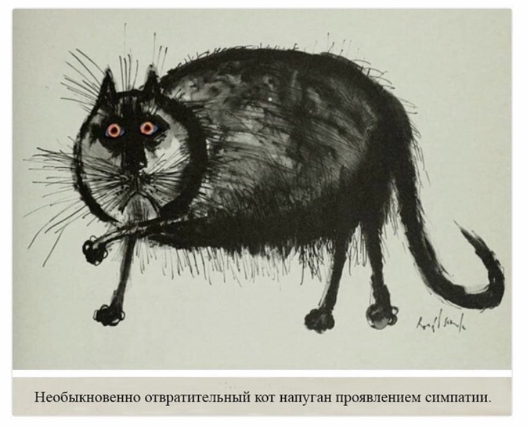 ��� �����