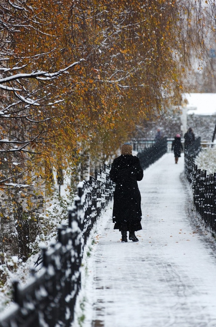 ��� ��� �������