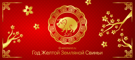 ������������ ��������� ��������. �������� �������� � ���� ����, �������� �� �������� � �������, ��� ��������� ����������. ���� ������: ����� ��� ����� � ����, ��������-���������, ������� �� ����� �� ����������� �����������. �����14.