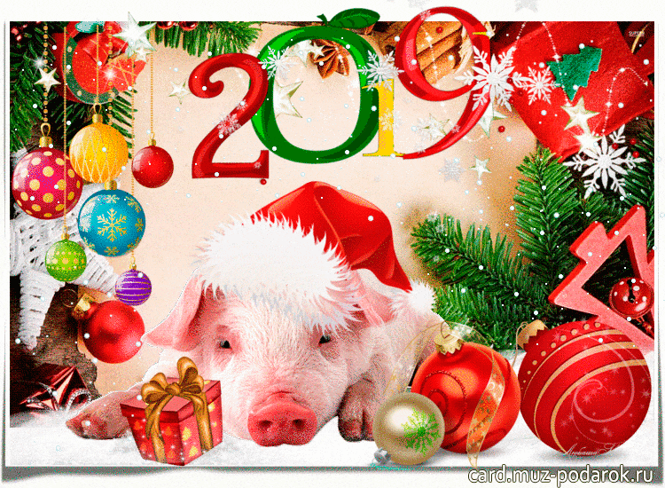 � ����������� ����� �����! �������� - �� ��� ������! �����- �� ��� �������!