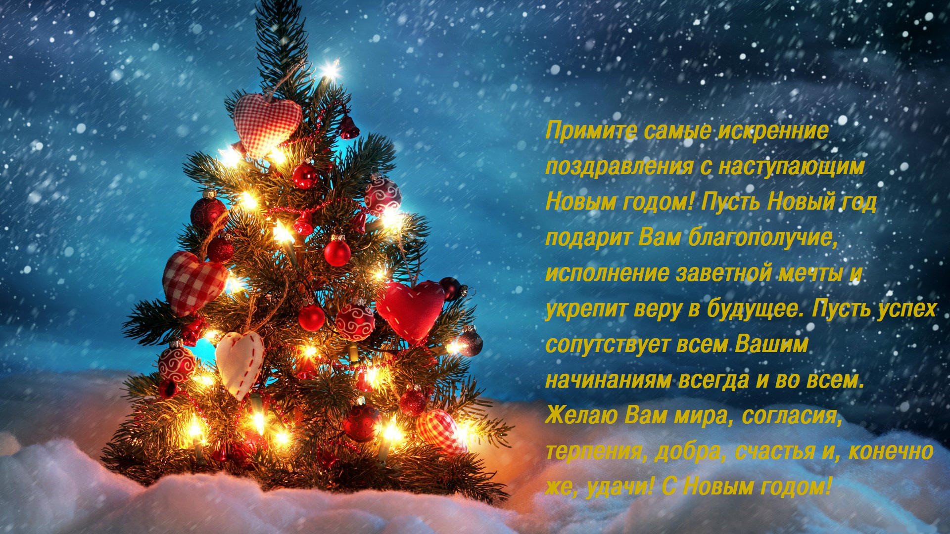 � ����������� ����� �����!