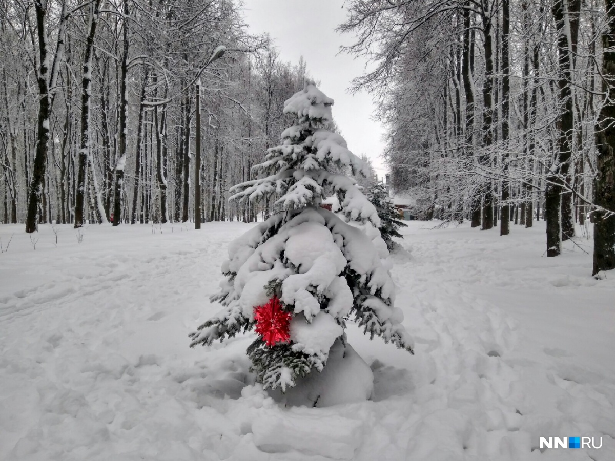 � ���� �������� ������...