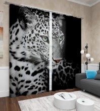 ���� �������. ���������, ���������, ������� ���������, ������� �� ������������� �� ������. ����� 4