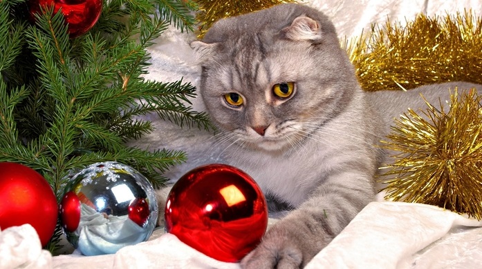 � ����� �����! ����� �������� ��� �������!