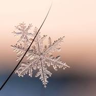 �������� ������������ �� ������..