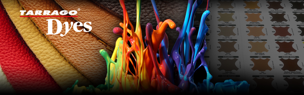 ���� 13/01.  ����� ���� ���!  