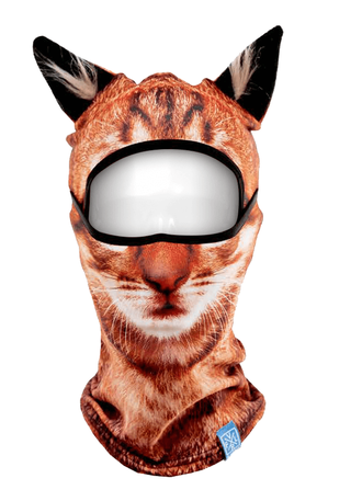 ���� �� 26.01. ��������- ���������. ����� � ����� ��� �������� � �����-5.