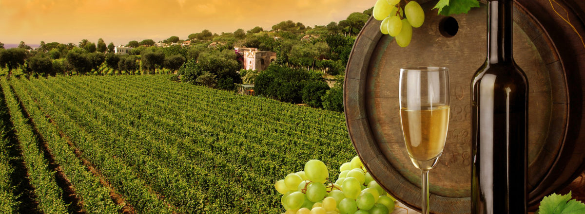 ���� �������. ��� ��� ��������� ���������,�����������,���������������,����������� - 5.