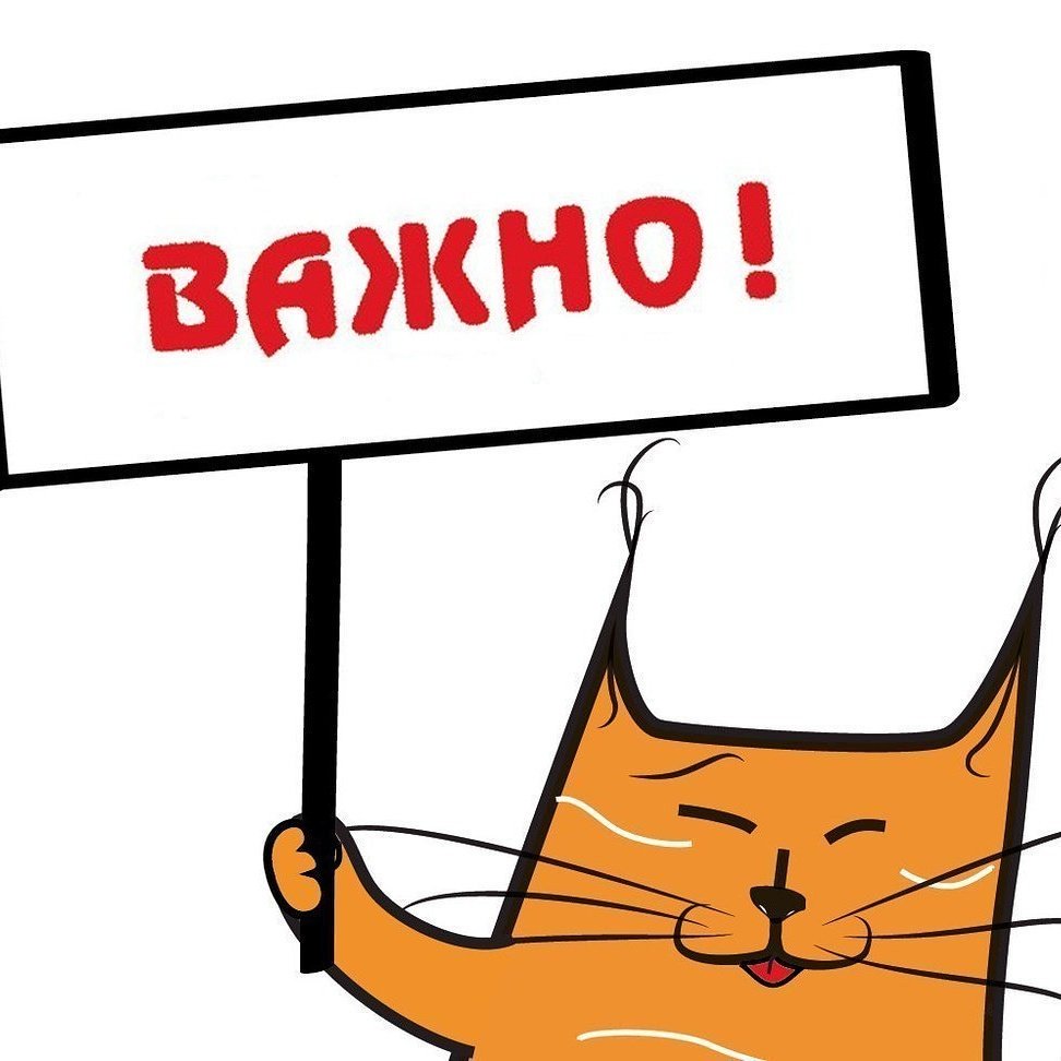 ����� ���� ��� ������