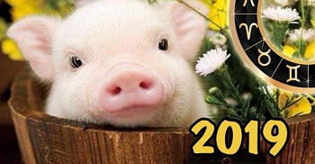 � ����� 2019 �����!