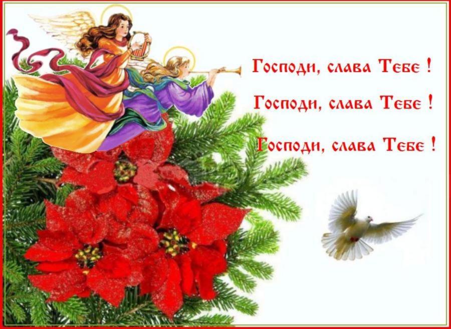 �  ����������   ��������� !  �������,  �����  ���� !  ���������  ����������,  �����  ���� !