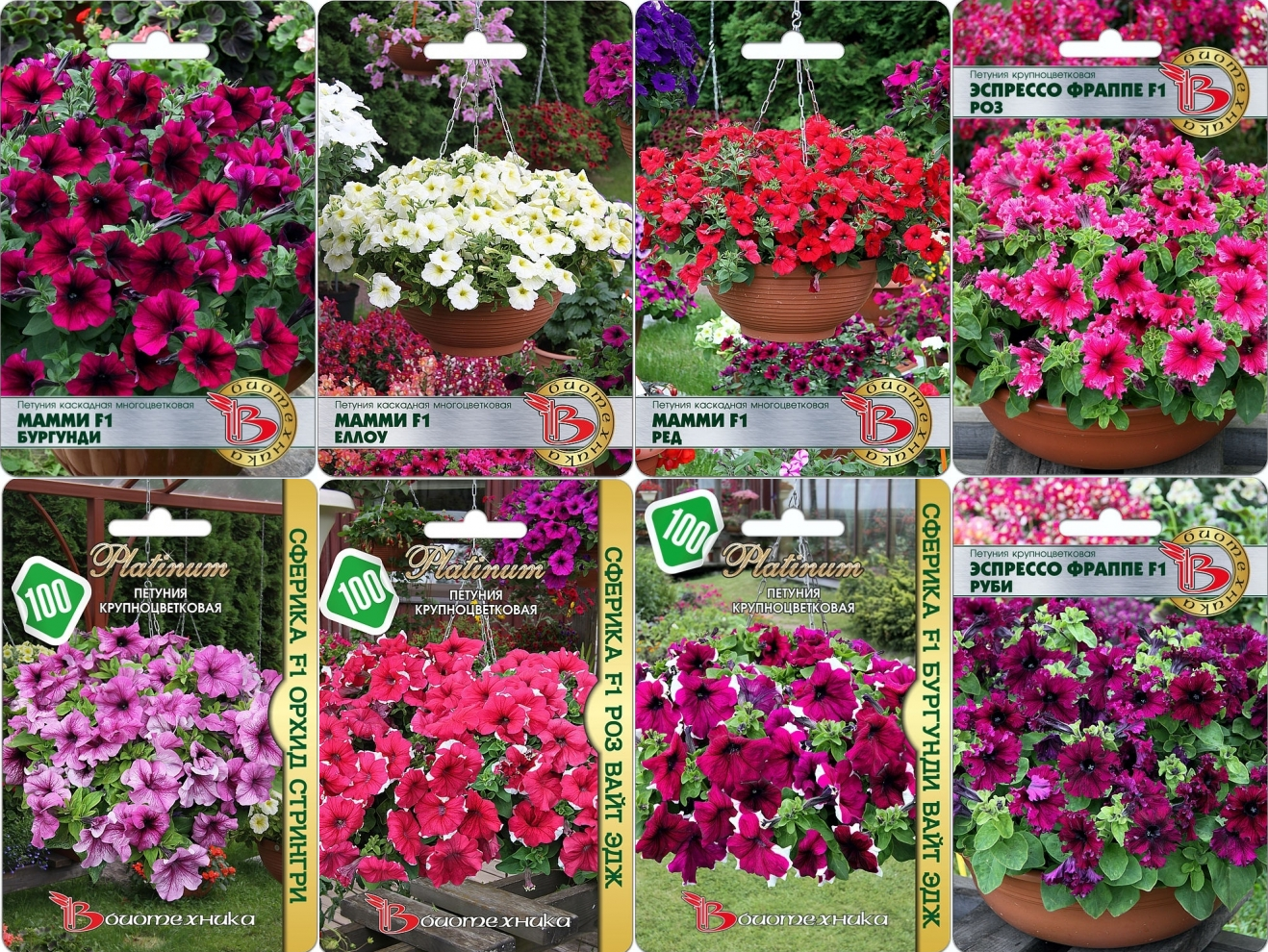 ������� �� ���������� 2019. �������������� �������!