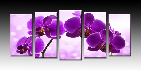 [b] ���� �� 7 �������. ��������� ������� �� ��������� ����������: �����, ������� ,��������, ��������, �������� ����������, ���������, ���� [b]