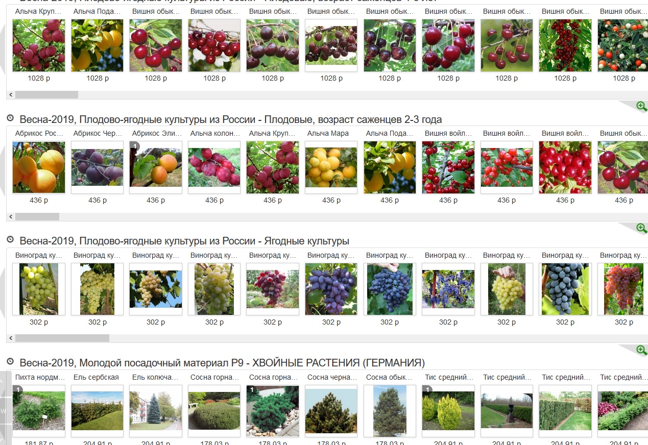 ��������� ������������� �� ����� 2019. ��������, �������, ������������, �������, �������� � ���������.