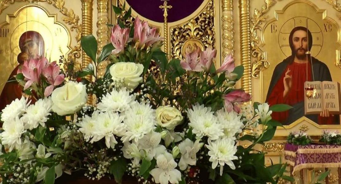 ��  ������� ���  ������� ���  ���,  �����  �������  �  �����   ������,  ������  �������� !