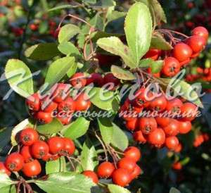 	���� �� 27 .01 . ������� �������� ��**��**��**��. ����� 2019�. �������� �������� 2-�, 3-� ����� . ������� ��������,���������. ���. �16