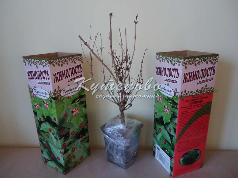 	���� ������� �� 27.01. ��������� �� ����� 2019. ������� �������� ��**��**��**��. �������� ��������. ������������ � ������� ��������. ������� ��� � ������� �������� 8