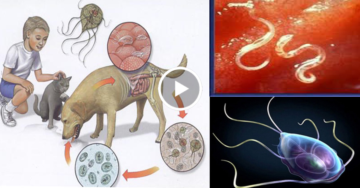 ���� �� 24.01.��������� �� �������� ������: �������, �����, ��������� � �������. �����������- ���������� �������� ��������� �� �������, �����. ������ ���� ��� ����- 15