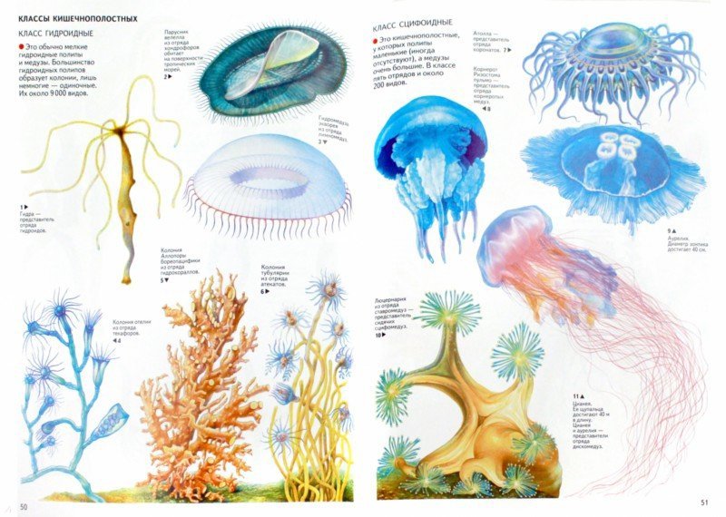 ���� �������. ������������ �����. �������� � ������������� ����� � �������� ���������� � ����� ��������: � ������� ����, � �����, � ����, ���������� � ���. ��������� ���������� ���� ���. �������! �������� ������� No12. �������� ������! 01/19