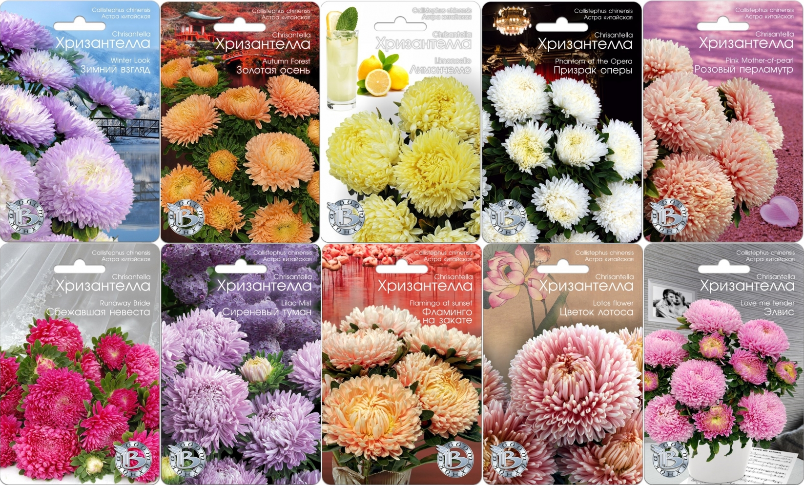 ������� �� ���������� 2019. �������� ��������� ����� �����������